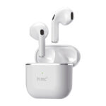 WS earphones